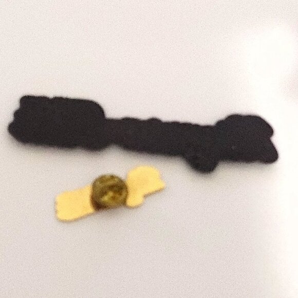 FUN Niagara Falls Souvenir Pin and Magnet - Picture 3 of 3